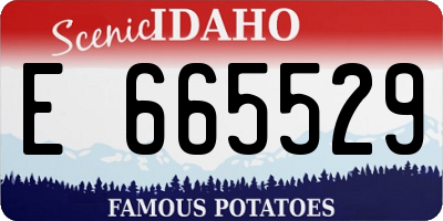 ID license plate E665529