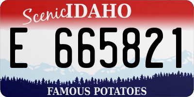 ID license plate E665821