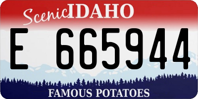 ID license plate E665944