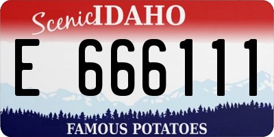 ID license plate E666111