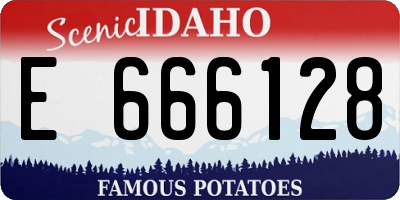 ID license plate E666128