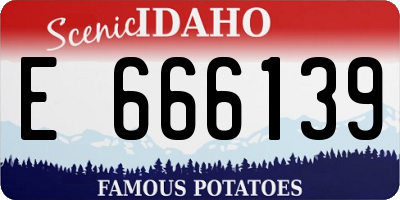 ID license plate E666139
