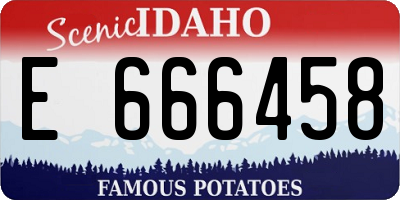 ID license plate E666458