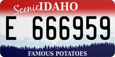 ID license plate E666959