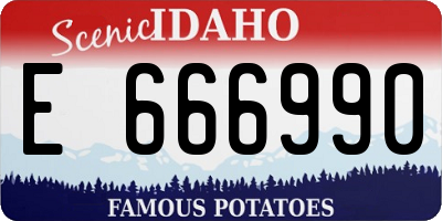 ID license plate E666990