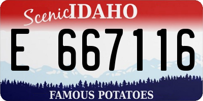 ID license plate E667116