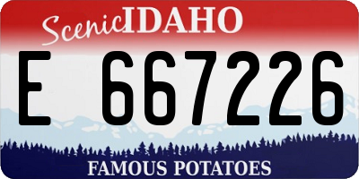 ID license plate E667226