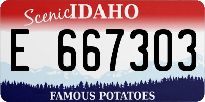 ID license plate E667303