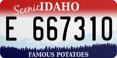 ID license plate E667310