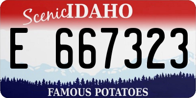 ID license plate E667323