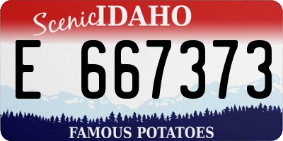 ID license plate E667373