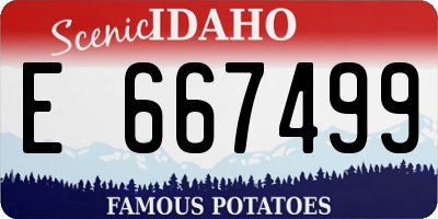 ID license plate E667499