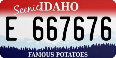 ID license plate E667676
