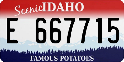 ID license plate E667715