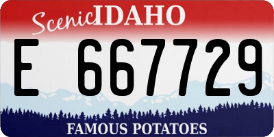 ID license plate E667729