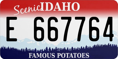 ID license plate E667764