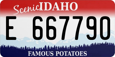 ID license plate E667790