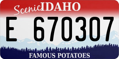 ID license plate E670307