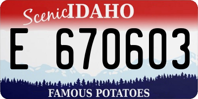 ID license plate E670603