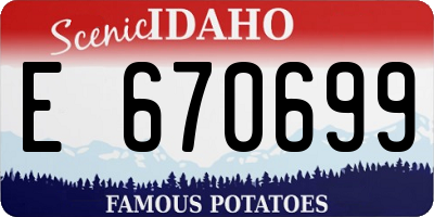 ID license plate E670699