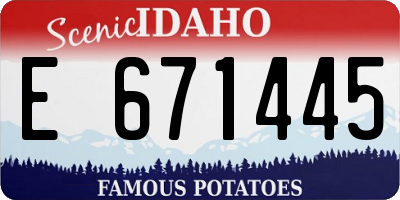 ID license plate E671445