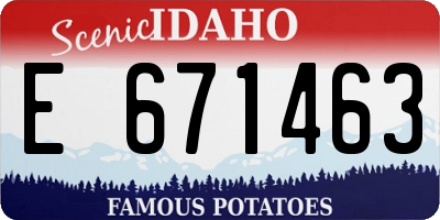 ID license plate E671463