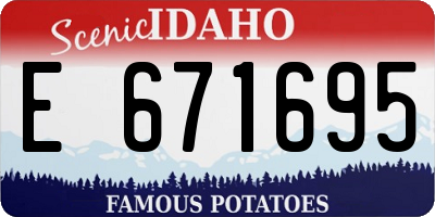 ID license plate E671695