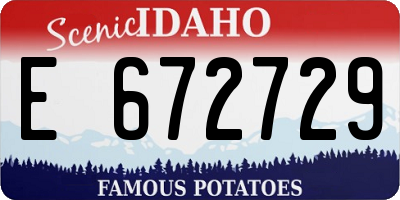 ID license plate E672729