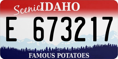 ID license plate E673217