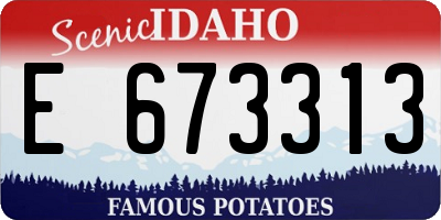 ID license plate E673313