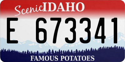 ID license plate E673341