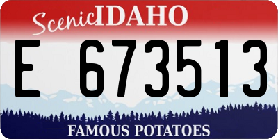 ID license plate E673513