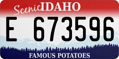 ID license plate E673596