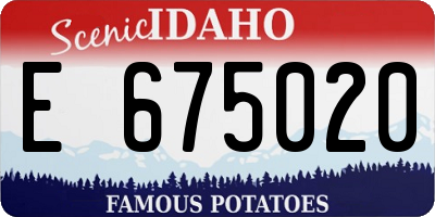 ID license plate E675020