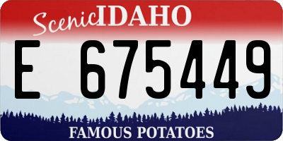 ID license plate E675449
