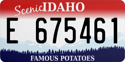 ID license plate E675461