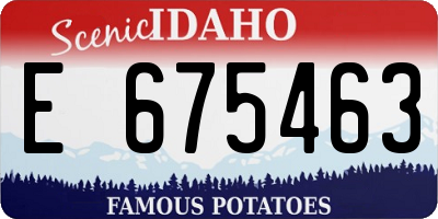 ID license plate E675463