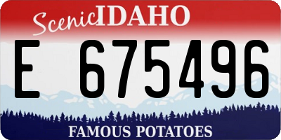 ID license plate E675496