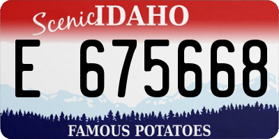 ID license plate E675668