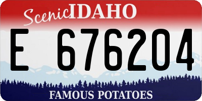 ID license plate E676204