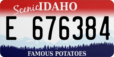 ID license plate E676384