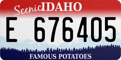 ID license plate E676405