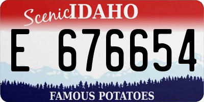 ID license plate E676654