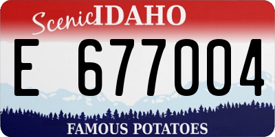 ID license plate E677004