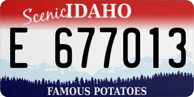 ID license plate E677013