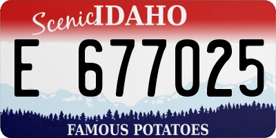 ID license plate E677025