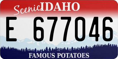 ID license plate E677046