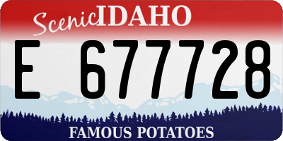 ID license plate E677728