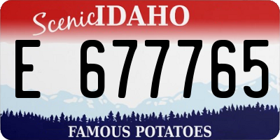 ID license plate E677765