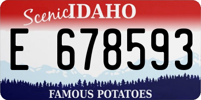 ID license plate E678593